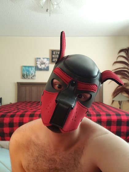 pupsterd OnlyFans picture