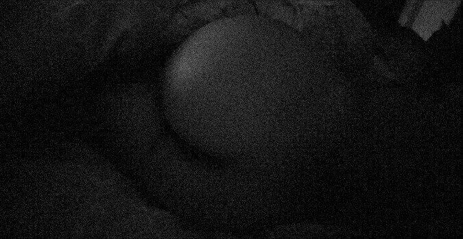 del.sur OnlyFans profile picture