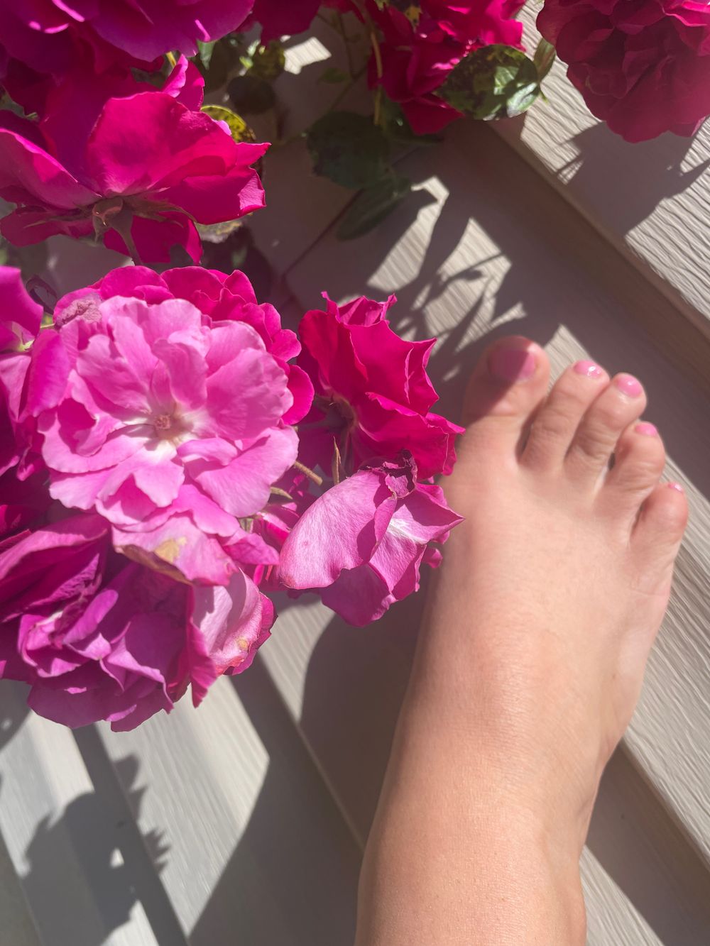 teasememia OnlyFans profile picture