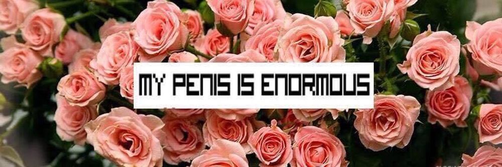 polillaaaa OnlyFans profile picture