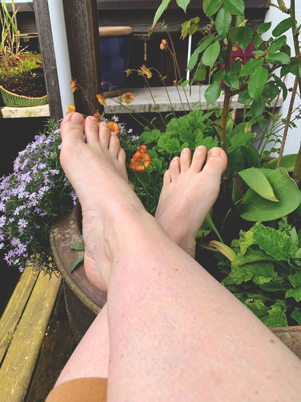 bubbletoesgermany OnlyFans profile picture