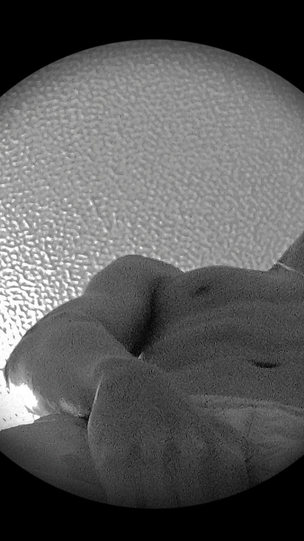 u85306626 OnlyFans profile picture