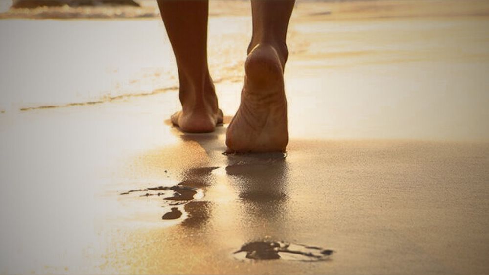 feetbeachbr OnlyFans profile picture