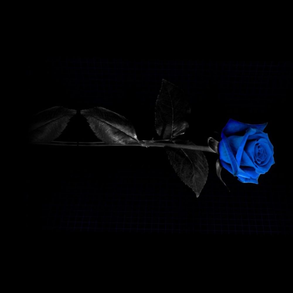 blue-avatar OnlyFans profile picture