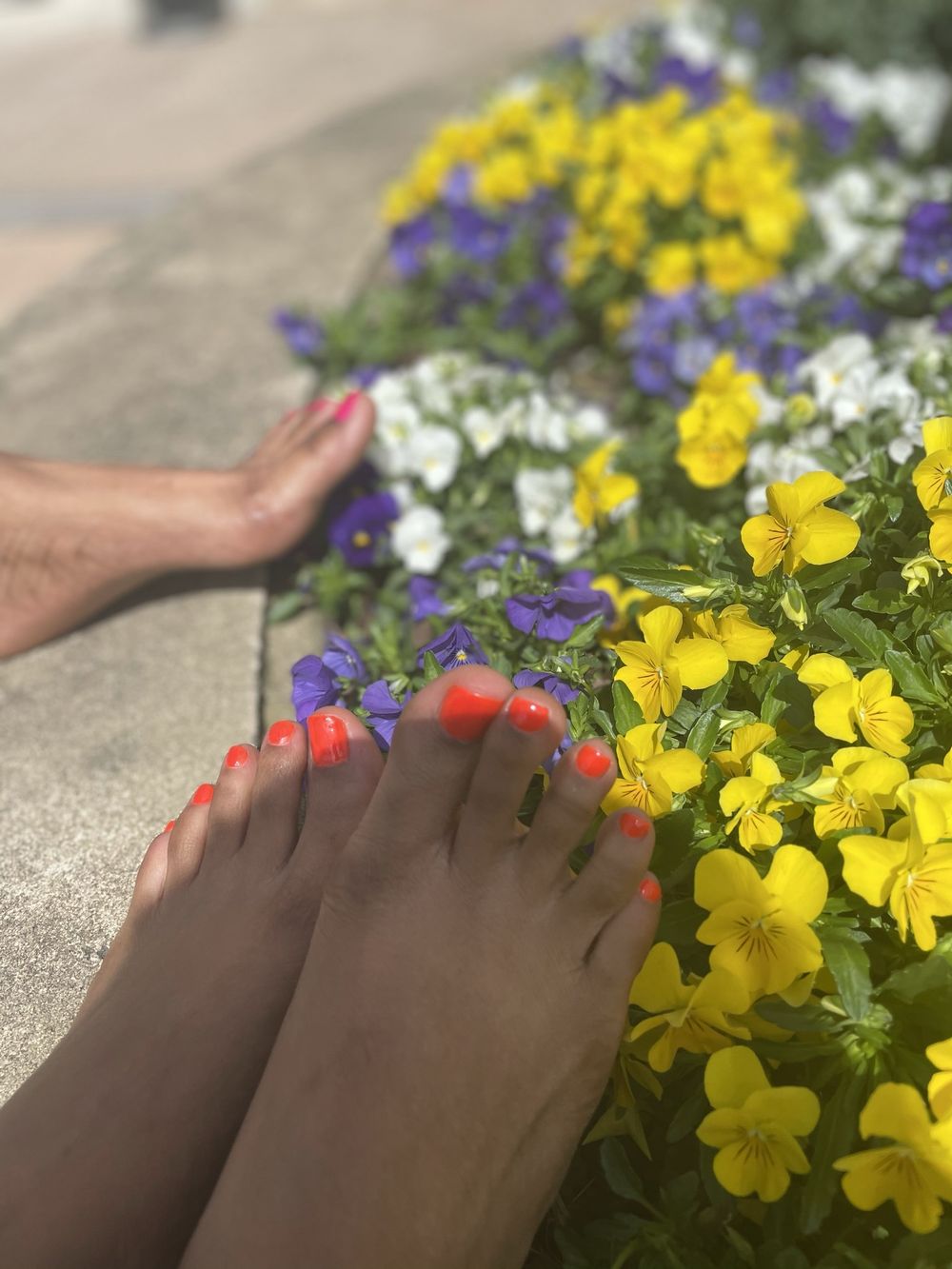theonlybrownskintoes OnlyFans profile picture