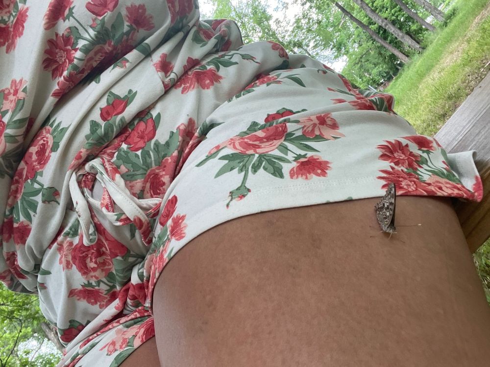 blueeyedbeauty0189 OnlyFans profile picture