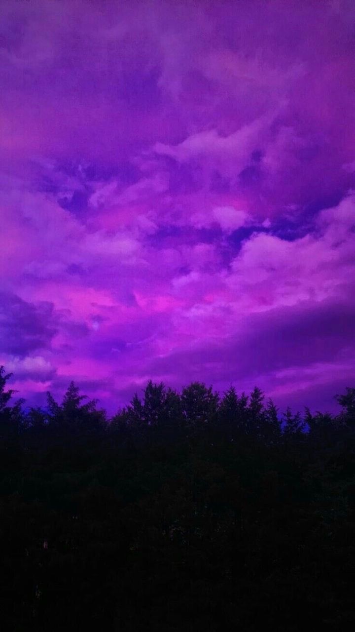 rubyredexclusive OnlyFans profile picture