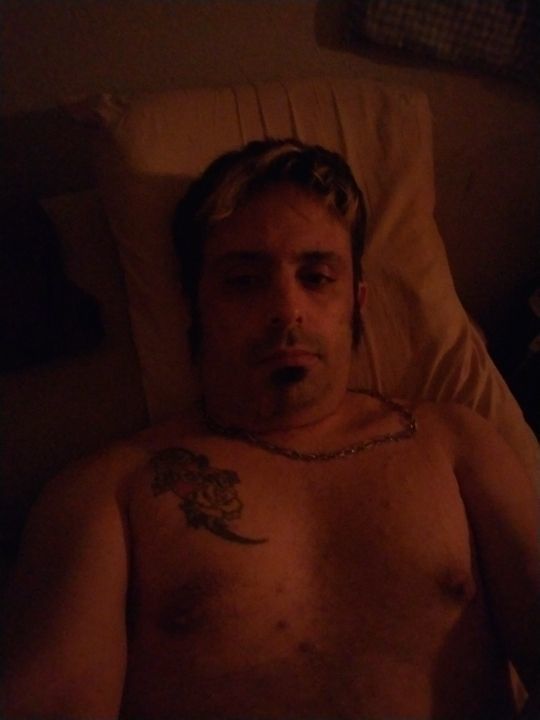 moggy640 OnlyFans profile picture