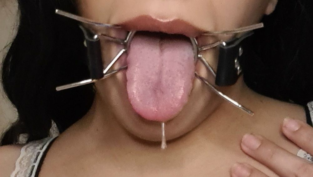 t123x OnlyFans profile picture