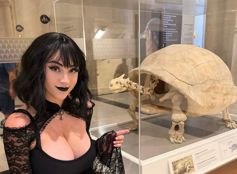 buttercupcosplays OnlyFans profile picture
