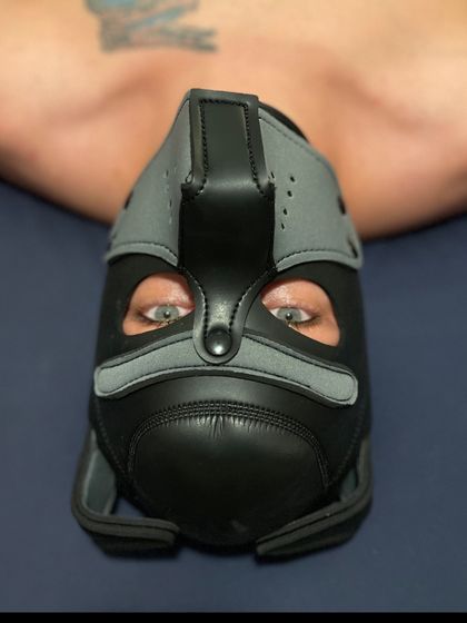 pawfectlymasked OnlyFans picture