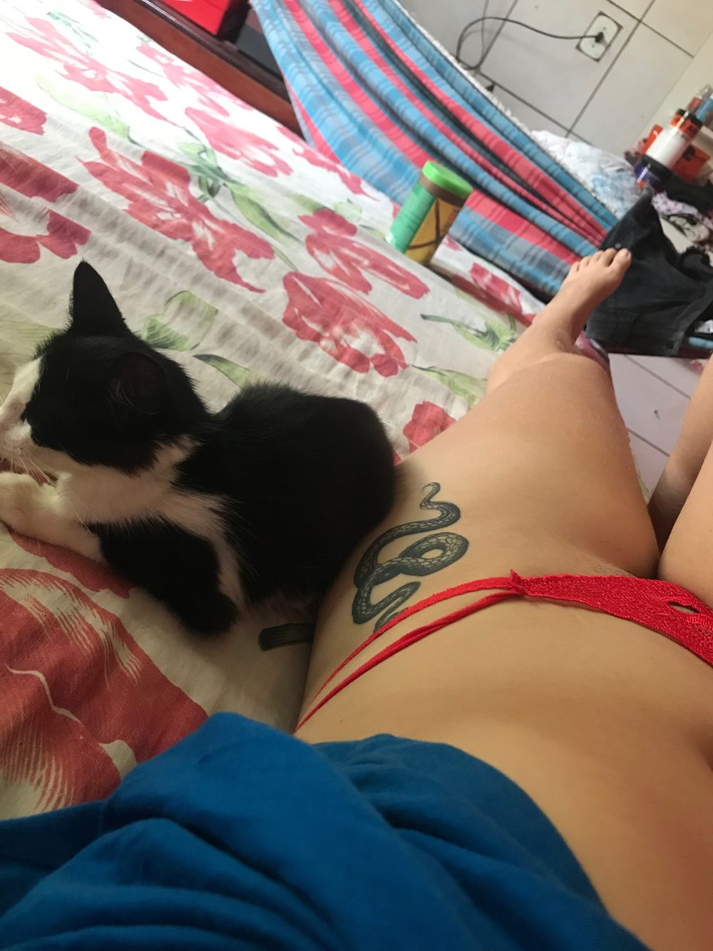 elainenerymunhoz OnlyFans profile picture