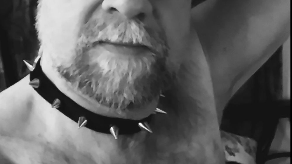 pronaughty OnlyFans profile picture