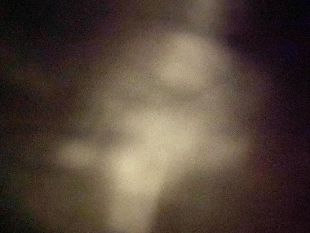 u308578219 OnlyFans profile picture
