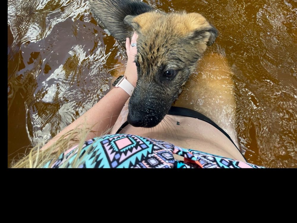 baynesbitch OnlyFans profile picture