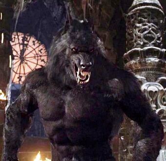 xxxwolfman26 OnlyFans picture