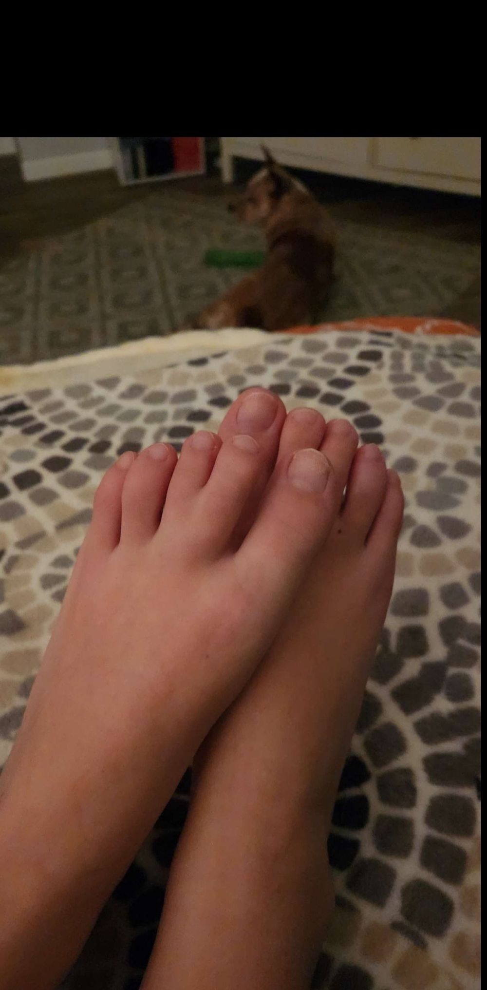 quackfeet OnlyFans profile picture