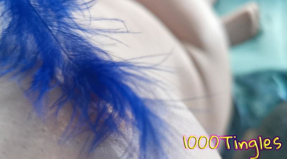 tingles OnlyFans profile picture