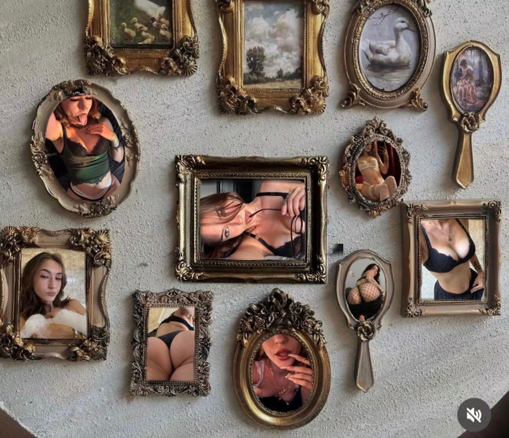 sirennixx OnlyFans profile picture