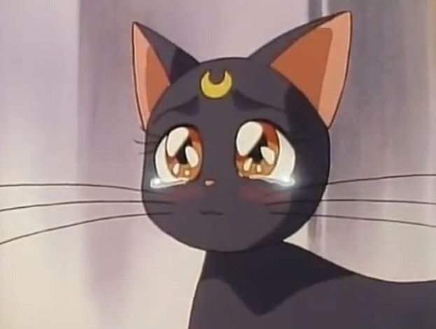 tsukihana OnlyFans profile picture