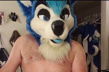 Tye Husky
