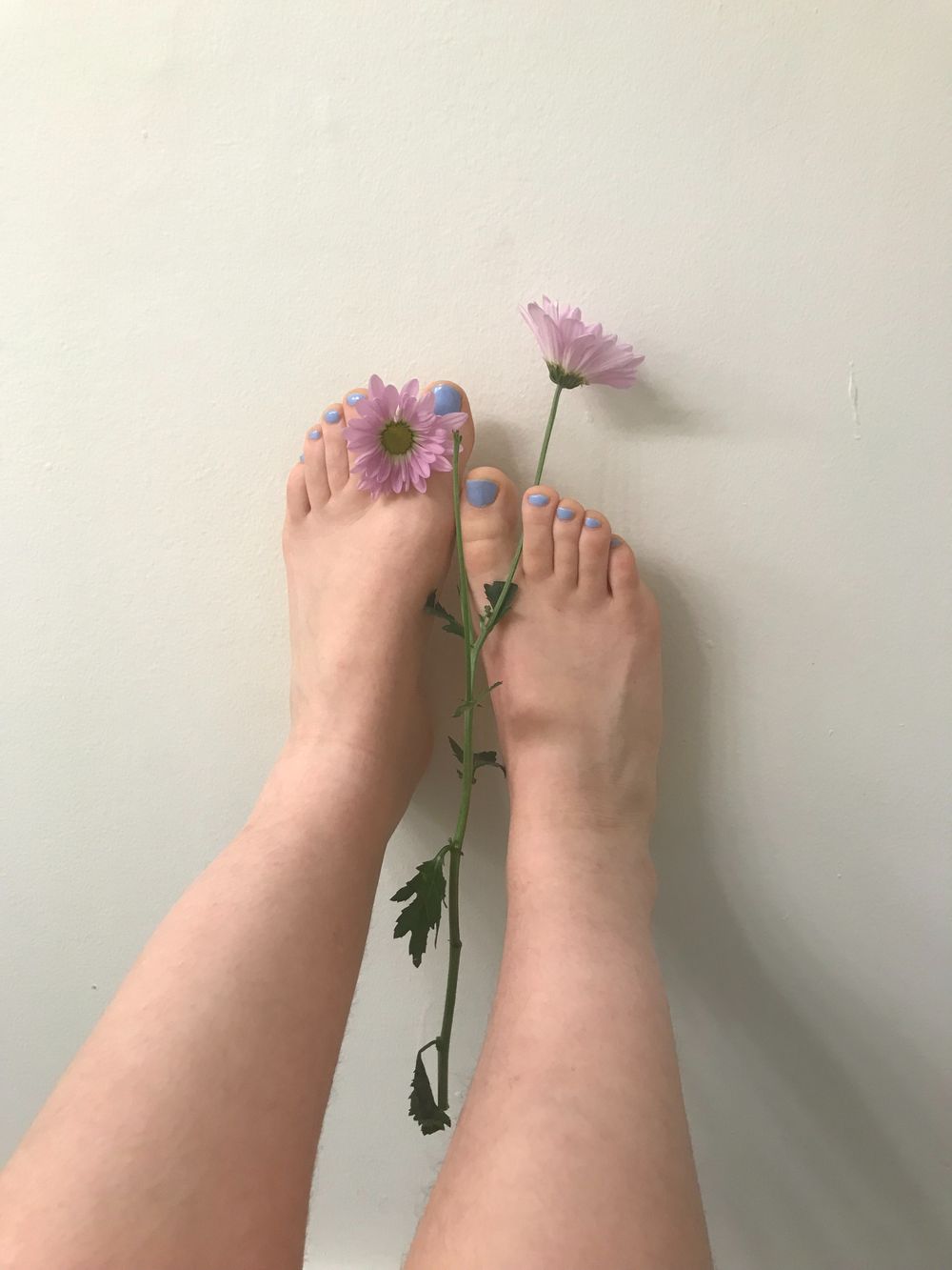 u217962307 OnlyFans profile picture
