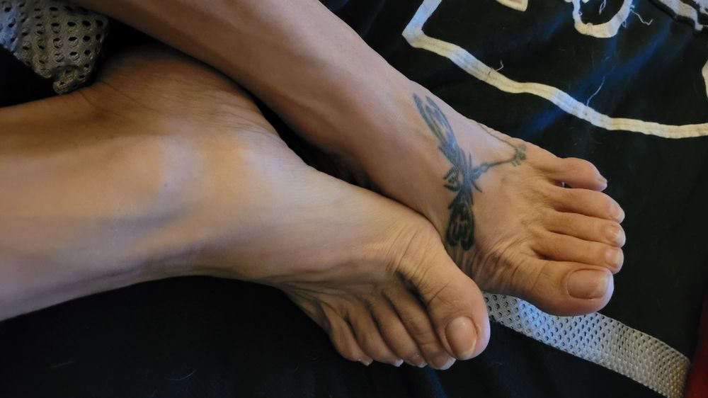 dragonflytootsies OnlyFans profile picture