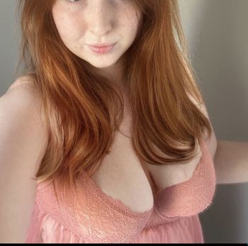 Foxymaja