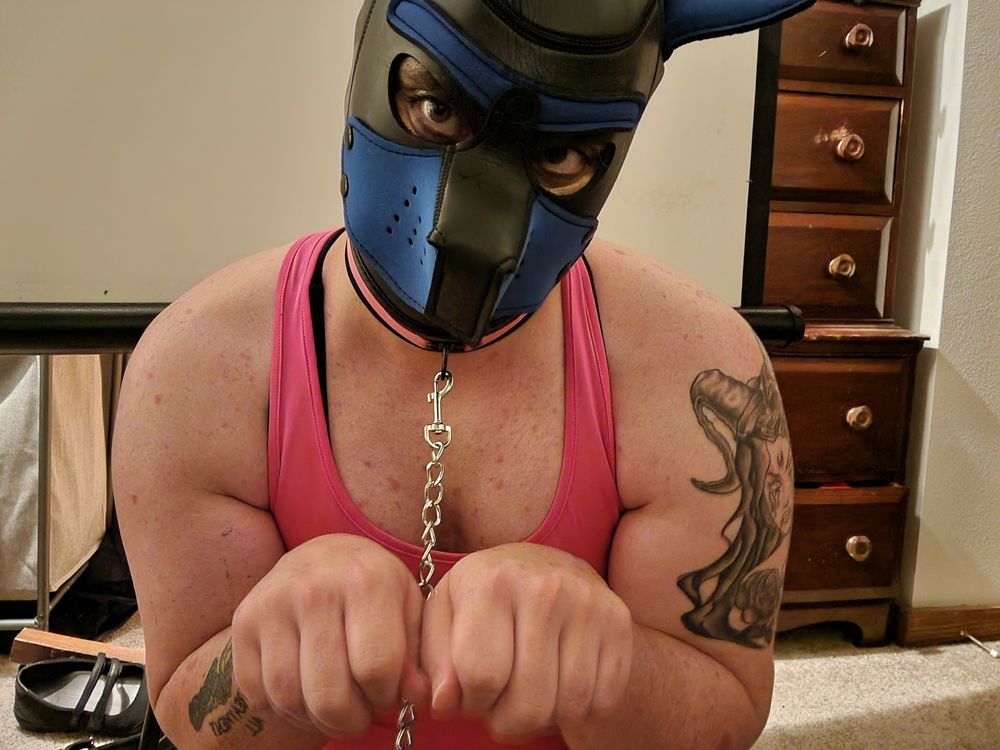 transpuppygurl OnlyFans profile picture