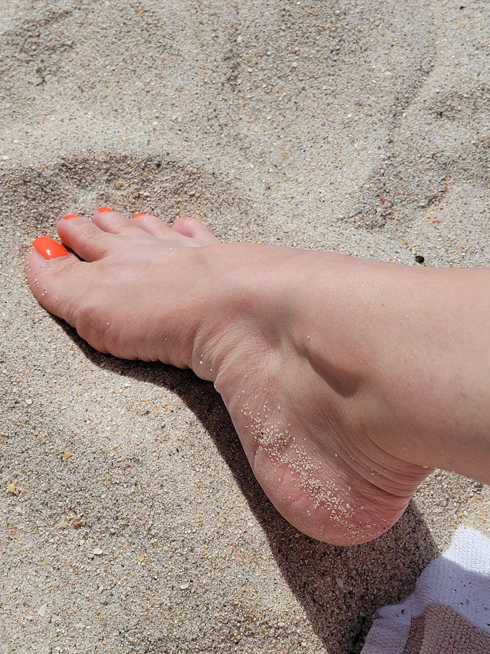 cutetoesjan OnlyFans profile picture