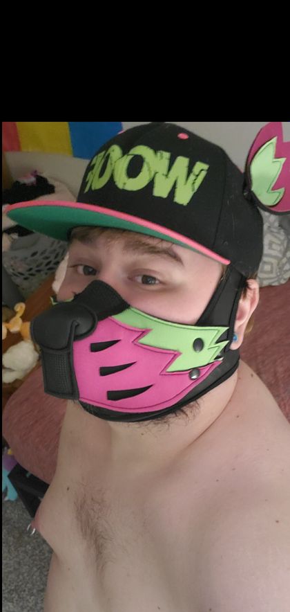 pupbohdi OnlyFans picture