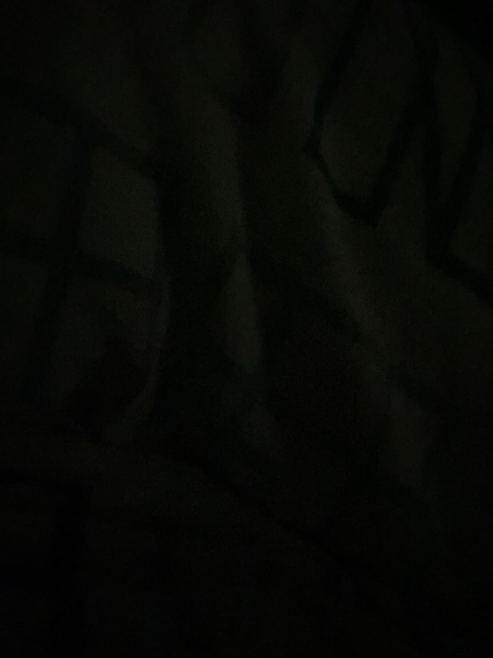 teddy_pi OnlyFans profile picture