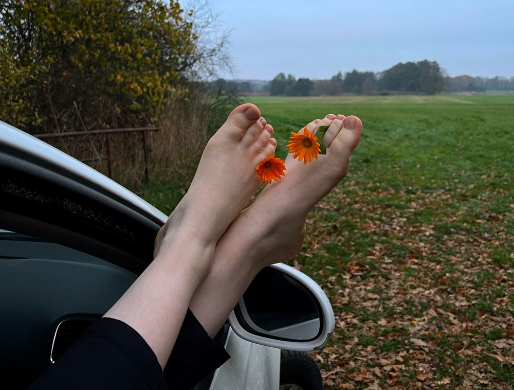 funwithagingersfeet OnlyFans profile picture