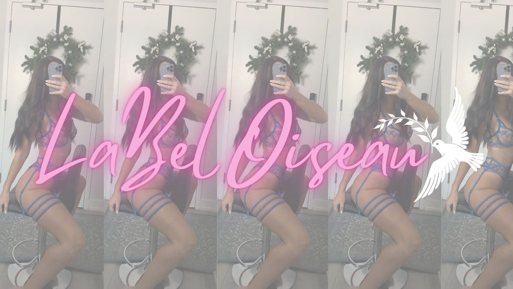 labeloiseauxo OnlyFans profile picture