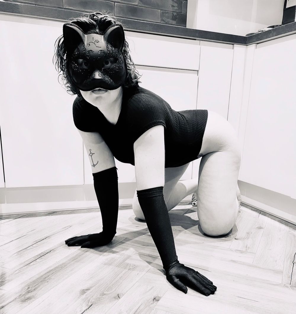 felinefemale OnlyFans profile picture