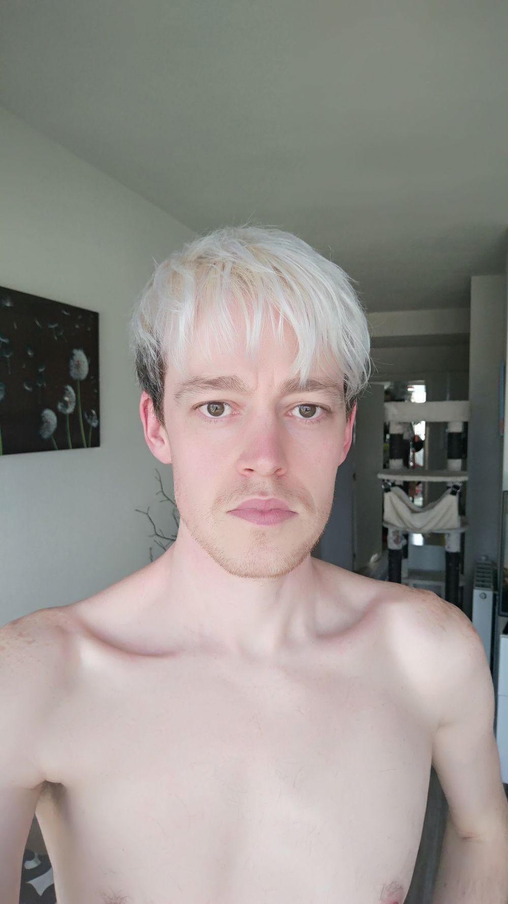 mr_cookie_canada OnlyFans profile picture