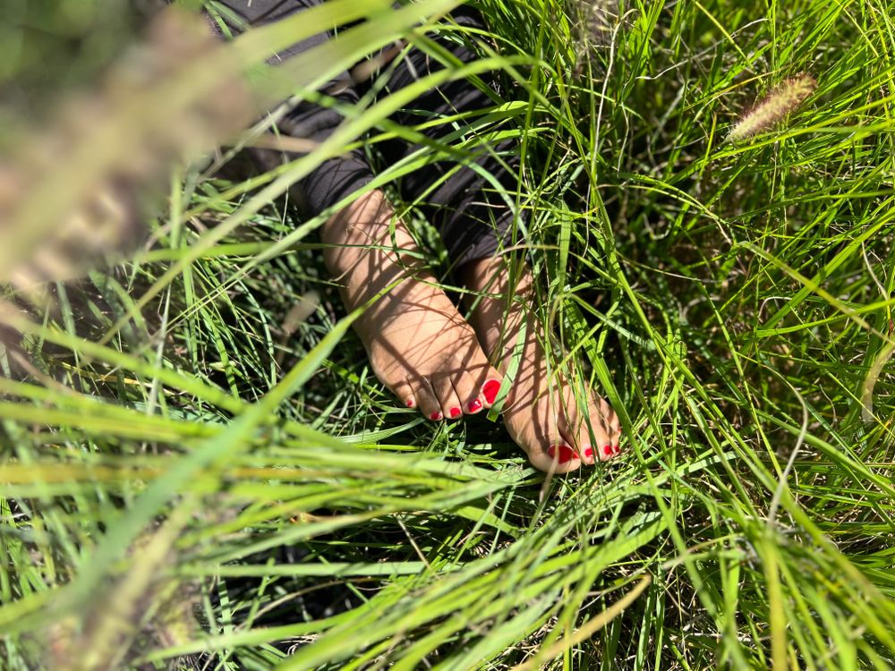 tannedtootsies69 OnlyFans profile picture