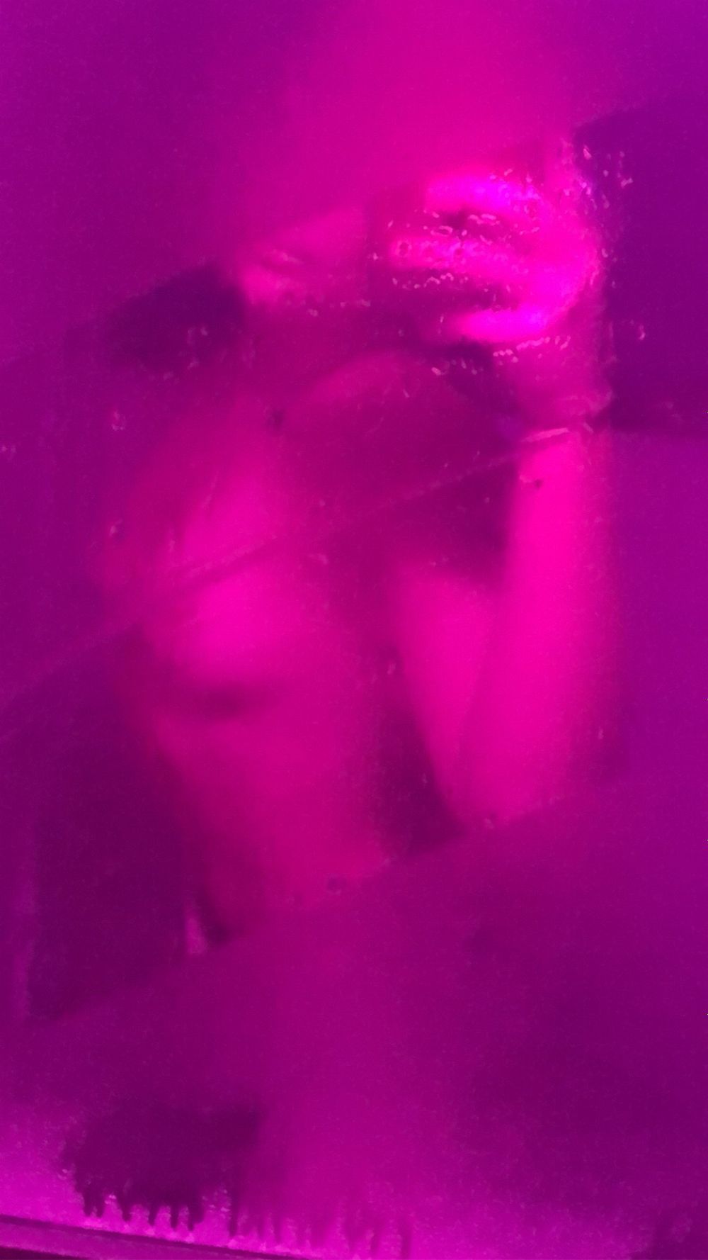 mybadbandee OnlyFans profile picture