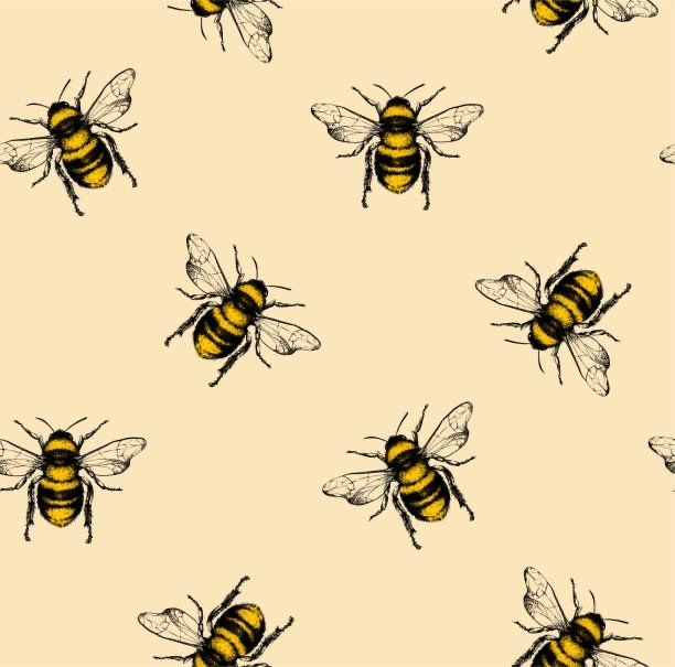 honeybeehey OnlyFans profile picture