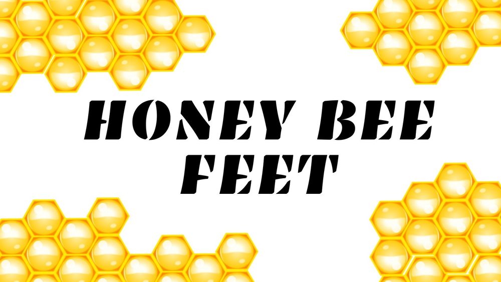 honeeybeefeet OnlyFans profile picture