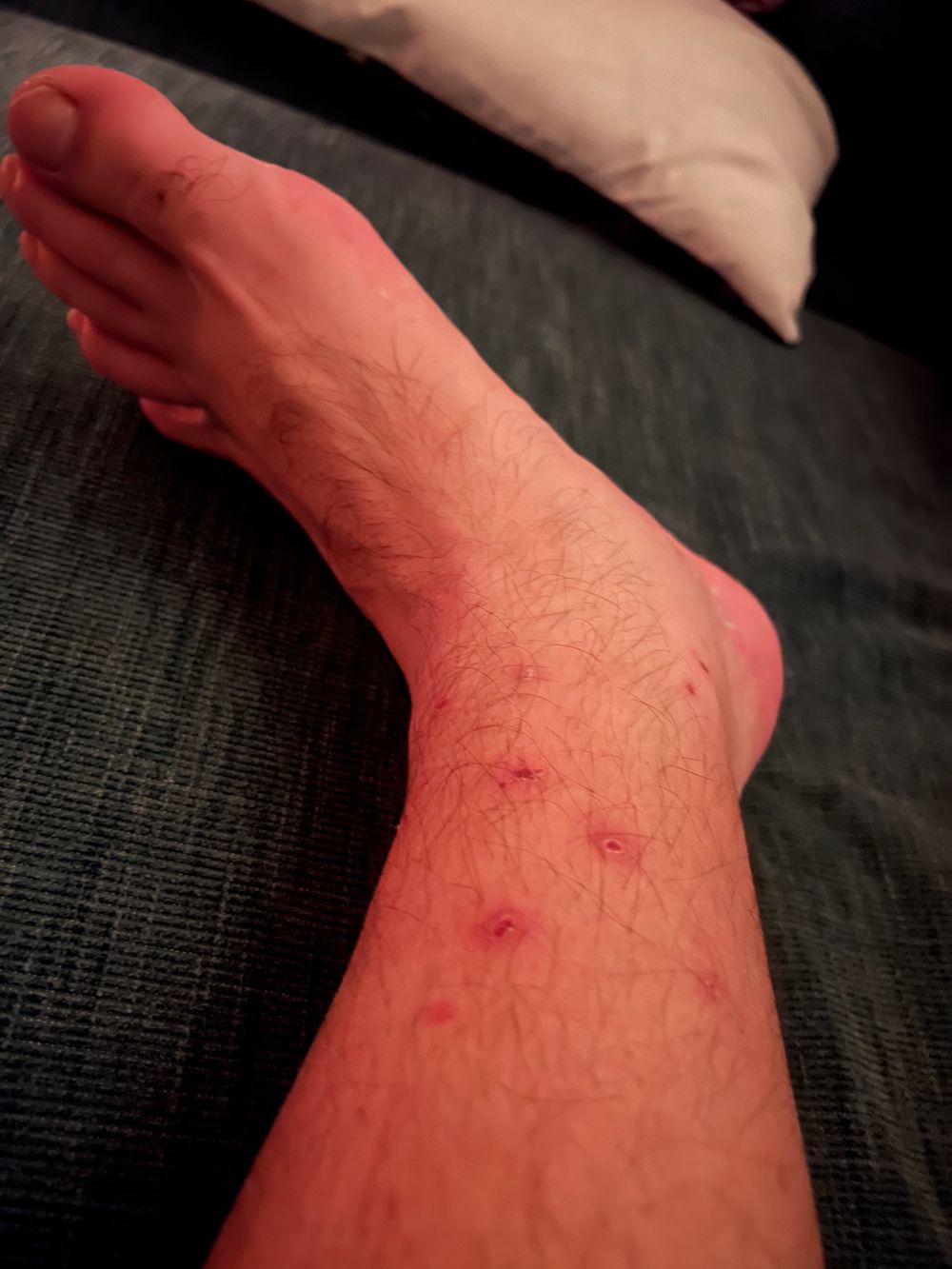 feetstriper OnlyFans profile picture