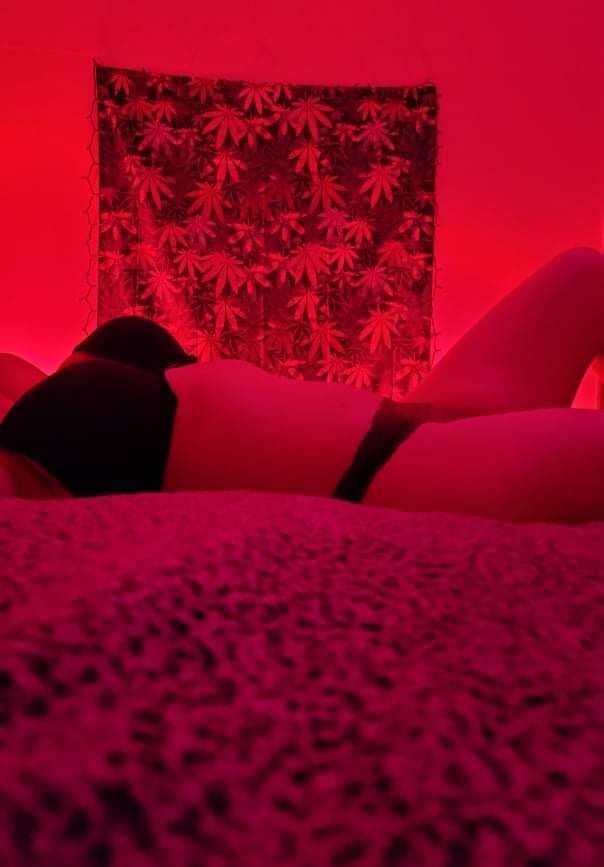 lexiknox9 OnlyFans profile picture