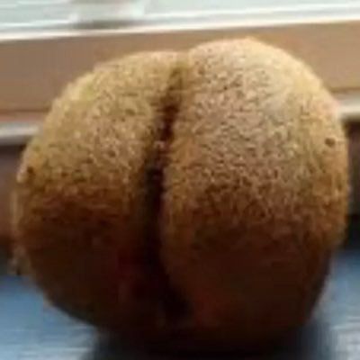 bighairydaddy69 OnlyFans picture