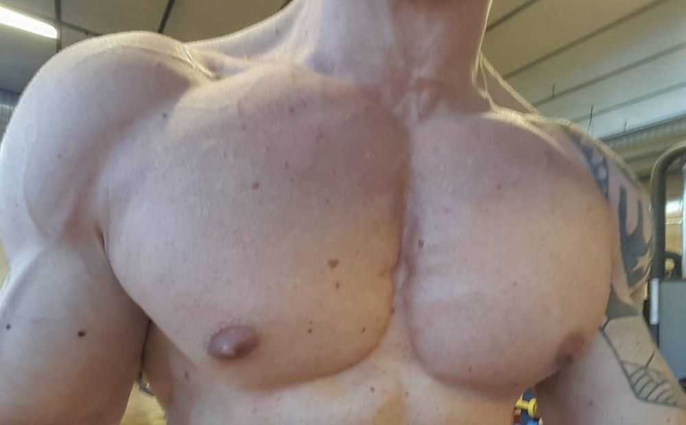 fitworld OnlyFans profile picture