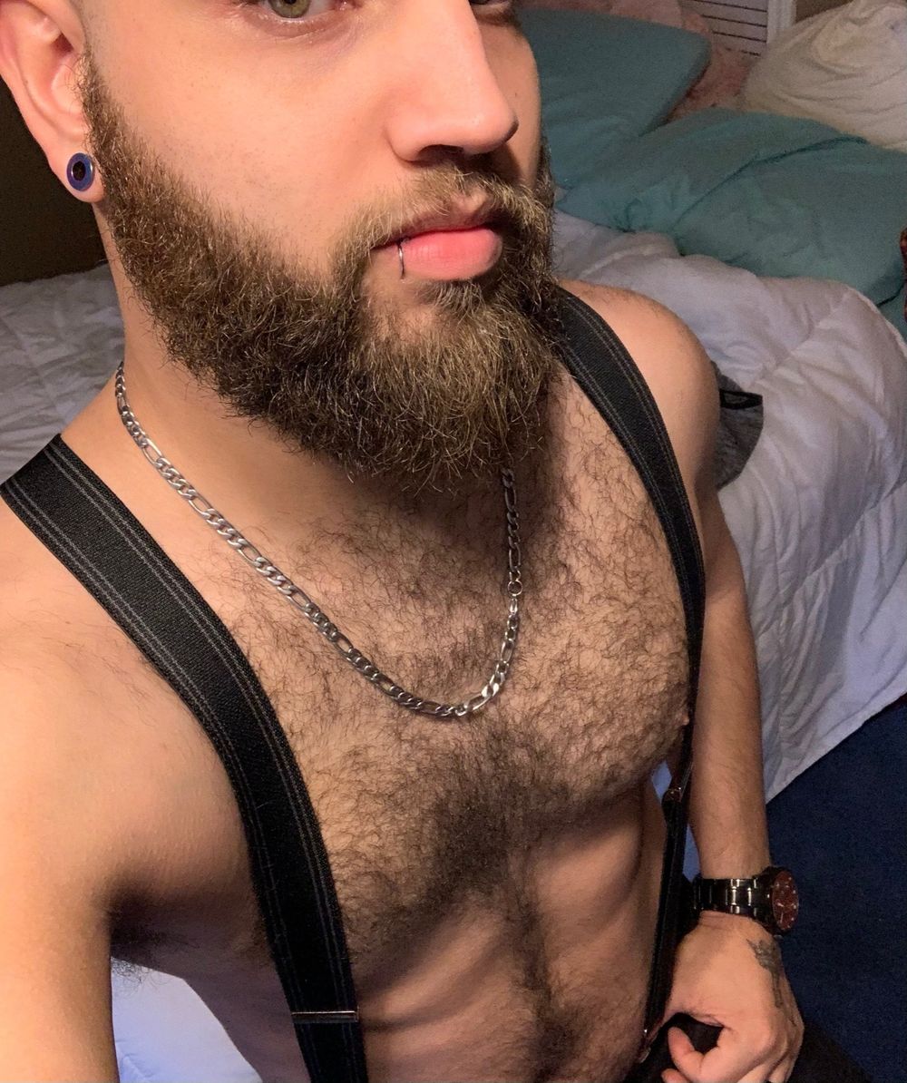 ovarydestroyerr OnlyFans profile picture