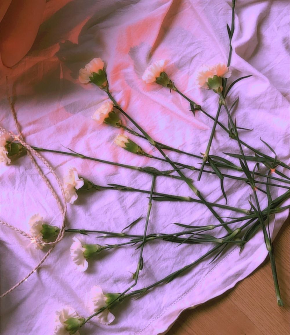 y2kdreamxoxo OnlyFans - Stats, Graphs, Photos & Profile Comparisons