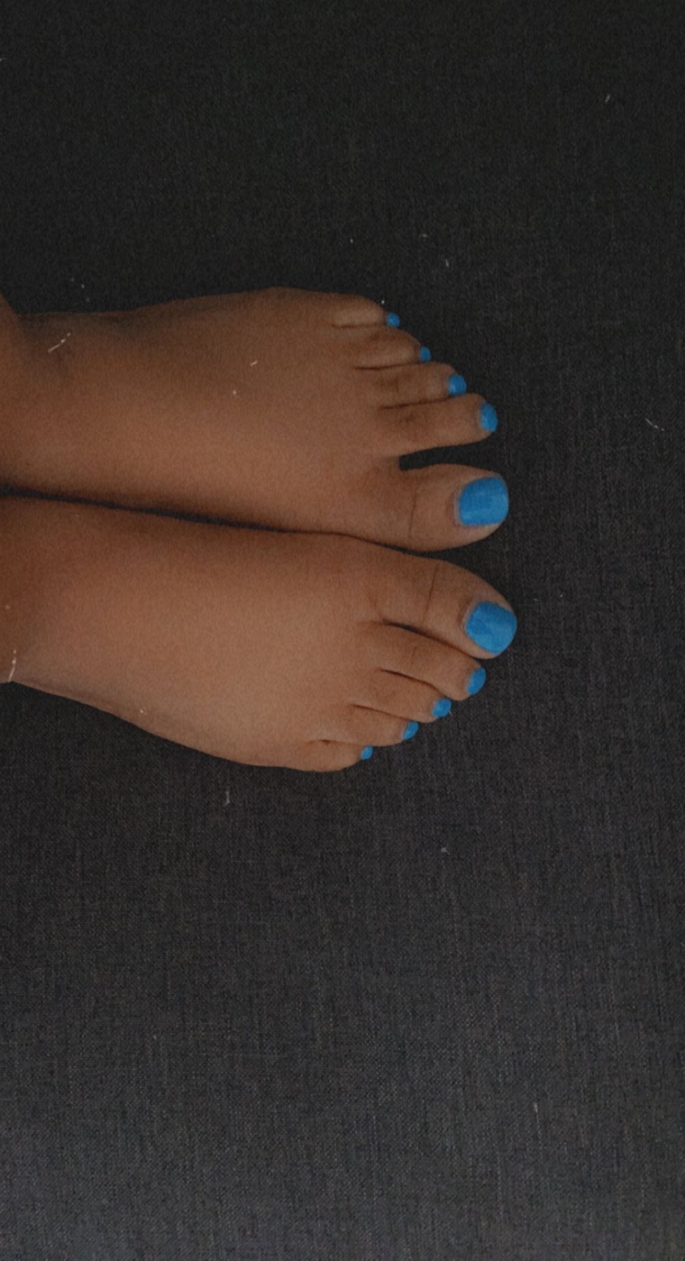 prettylilpiggies73 OnlyFans profile picture
