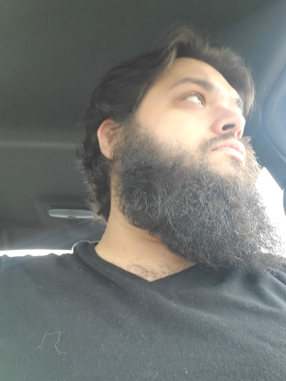 dadbodsbeards OnlyFans profile picture