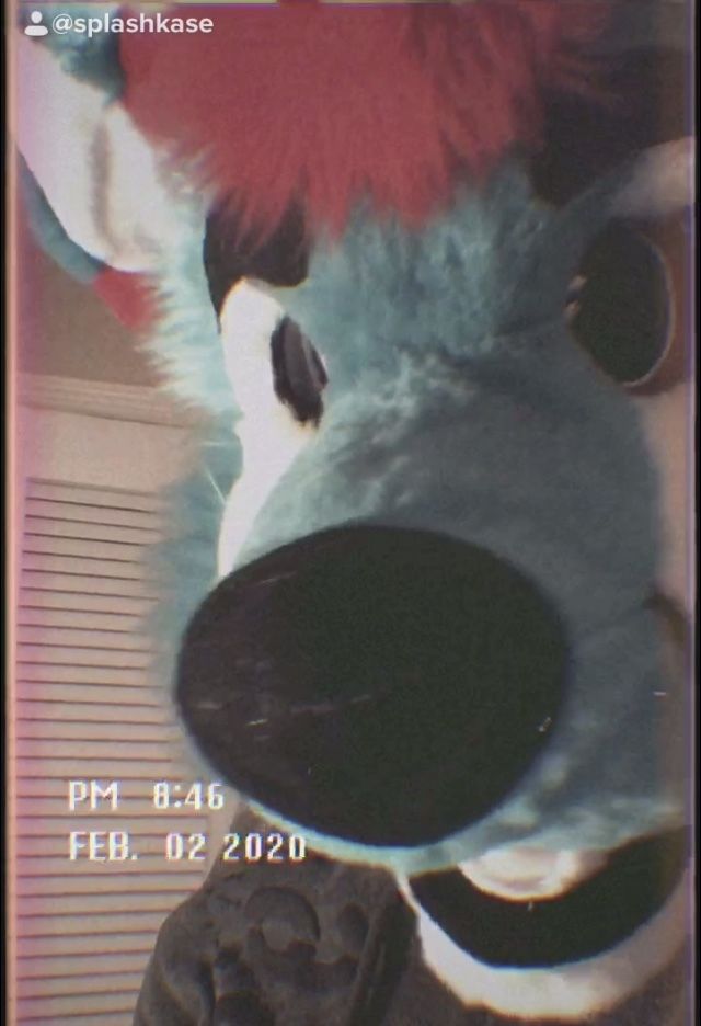 splashkase2317 OnlyFans profile picture