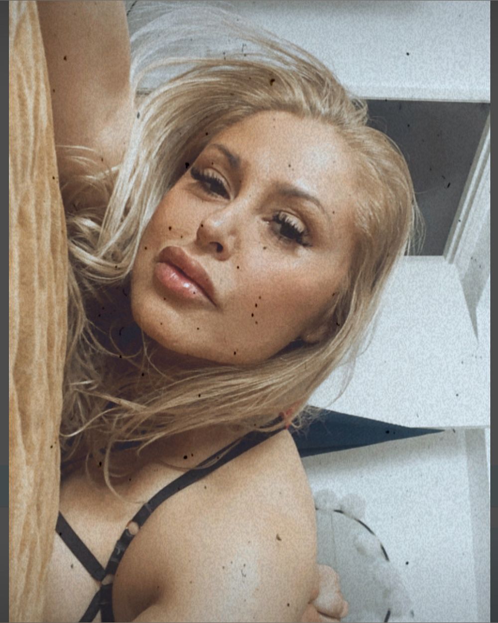 bella363 OnlyFans profile picture